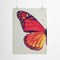 Monarch Butterfly I by Chaos &#x26; Wonder Design  Poster Art Print - Americanflat